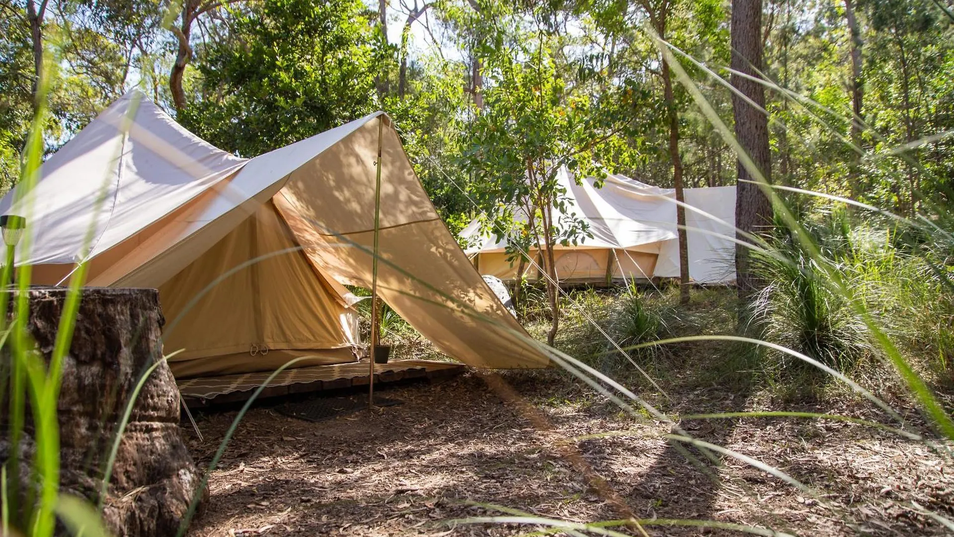 Campsite 1770 Eco Camp Hotel Agnes Water