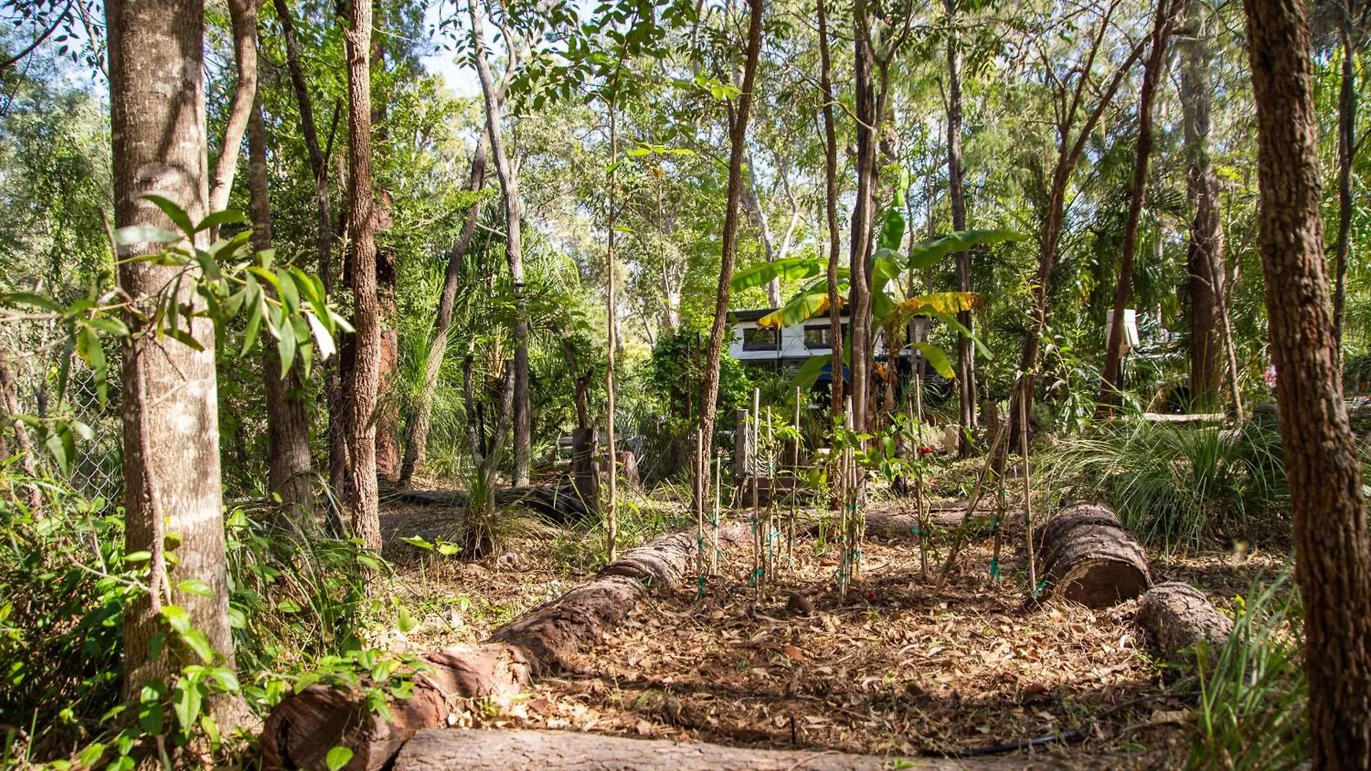 1770 Eco Camp Hotel Agnes Water Campsite