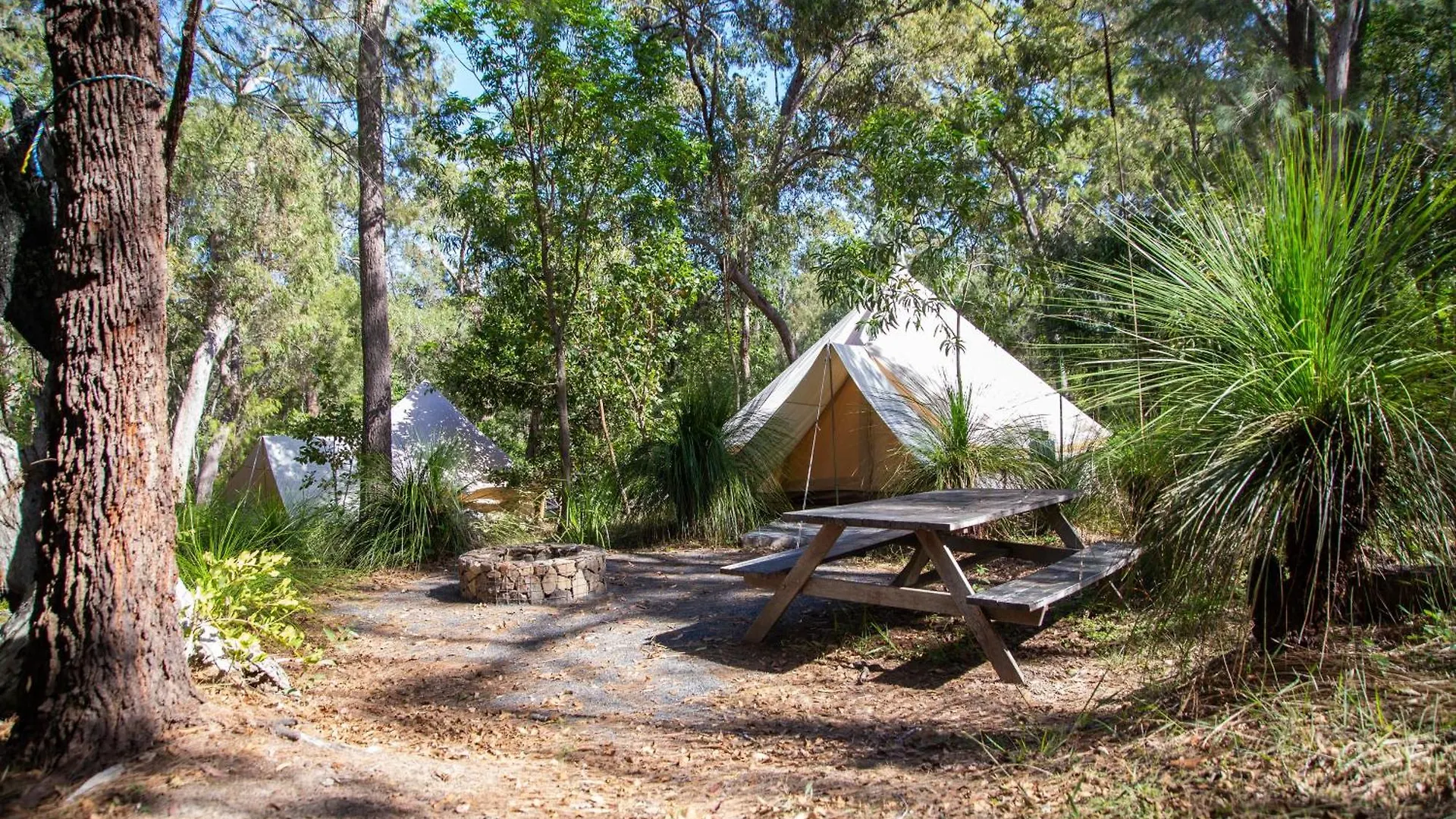 Campsite 1770 Eco Camp Hotel Agnes Water