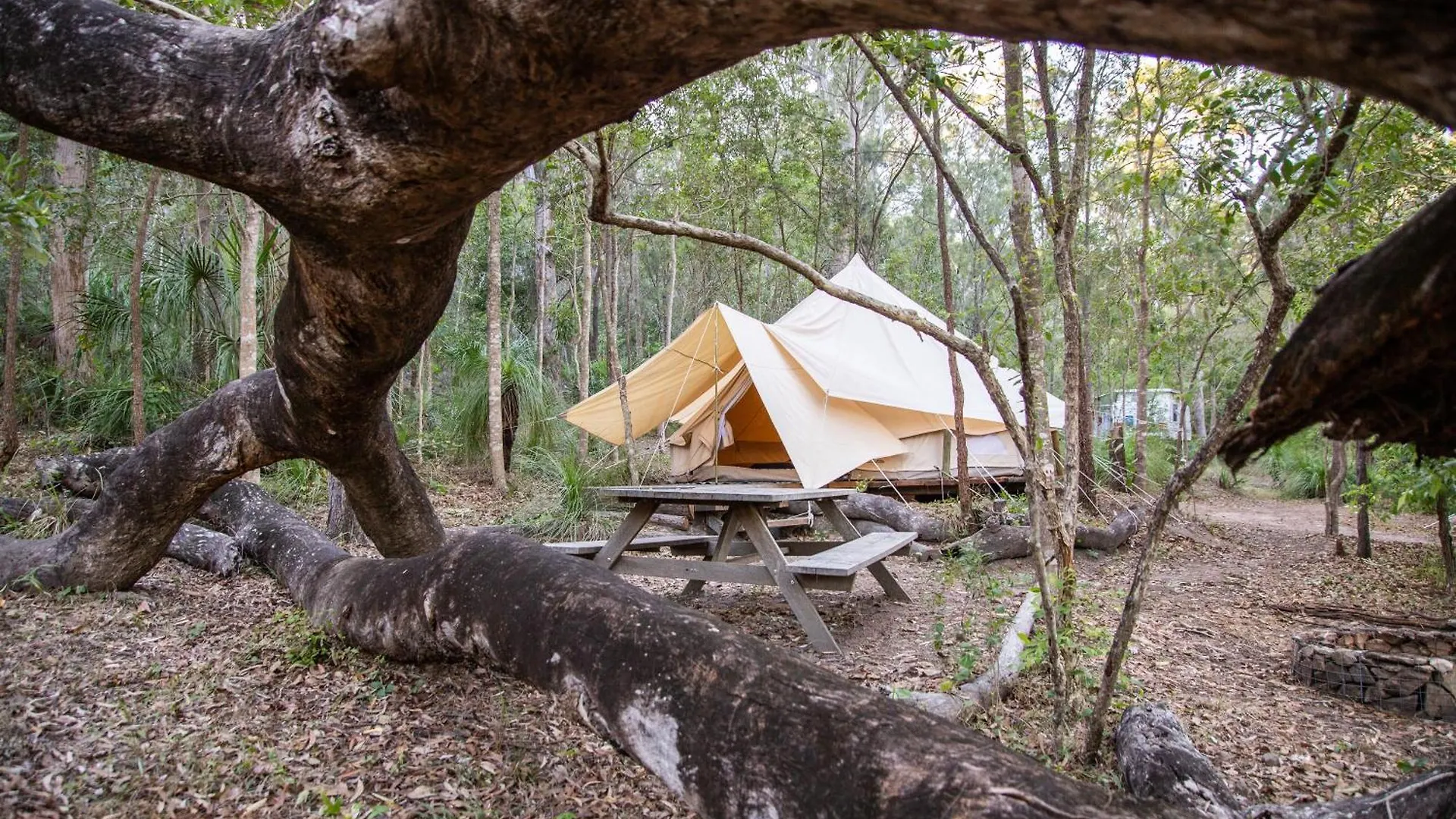 Campsite 1770 Eco Camp Hotel Agnes Water Australia