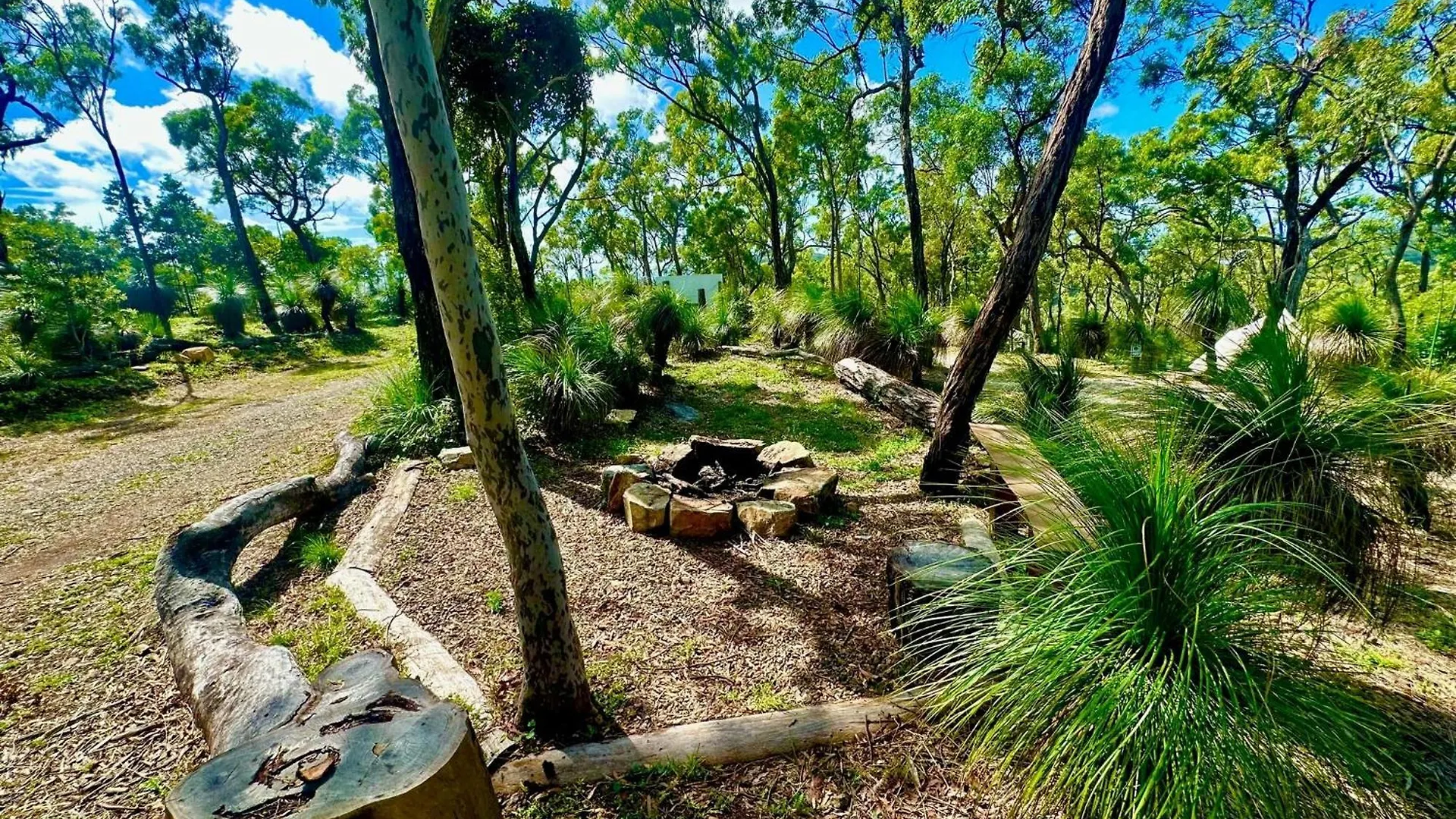 Campsite 1770 Eco Camp Hotel Agnes Water Australia